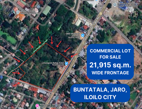 2.19 hectares Commercial Lot for Sale along the National Highway in Buntatala, Jaro, Iloilo City