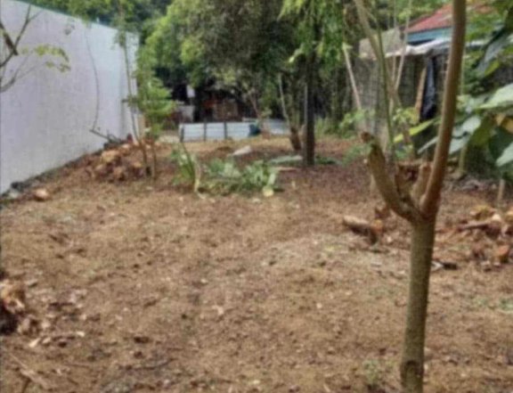 200 sqm Residential Lot For Sale in Diliman Quezon City