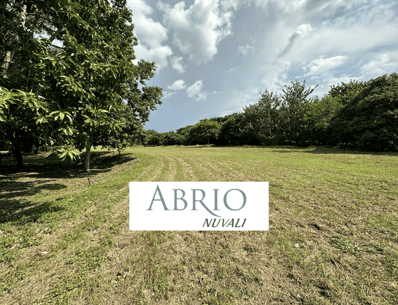 Abrio NUVALI for Sale, Phase 2 (887 sqm)