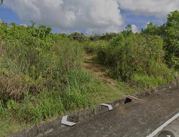 2.61 Hectares Farm Lot for Sale in Siargao near Maasin River