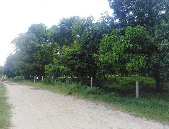 2.1 hectares Farm Lot For Sale in Cagayan De Oro Misamis Oriental