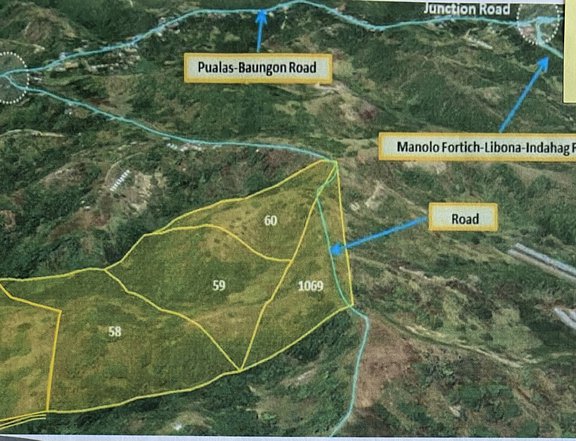 17 hectares Residential Farm For Sale in Pualas, Baungon Bukidnon