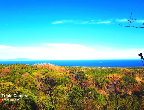 An overloking 1 hectare property with the magnificent Apo Island view