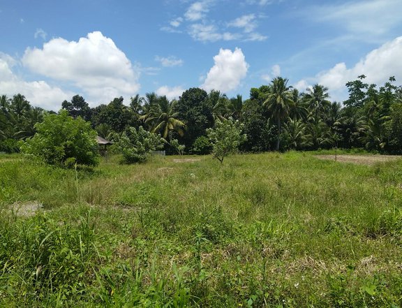 150 sqm Residential Lot For Sale in Koronadal South Cotabato
