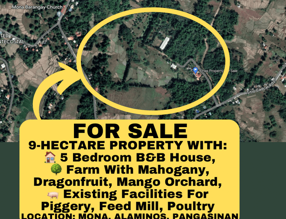 9-Hectare Farm With B&B House Orchard For Sale Alaminos Pangasinan