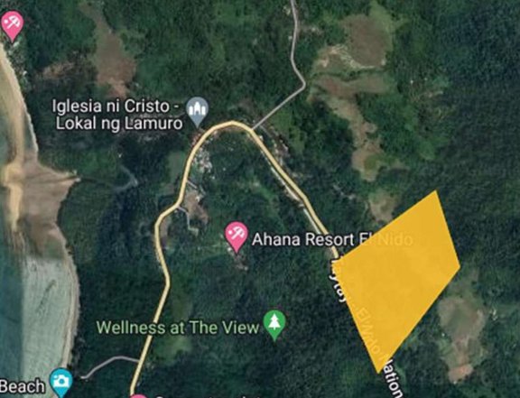 16.5 hectares Commercial Lot For Sale by Ayala Land in Brgy. Pasadena El Nido Palawan