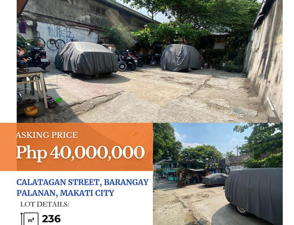 For Sale: Vacant Lot in Calatagan St., Palanan. Makati City