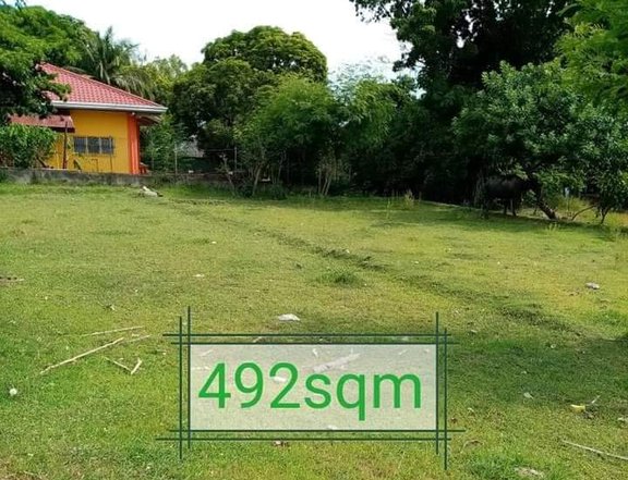 Rush Sale Residential Lot For Sale in Calatagan Batangas