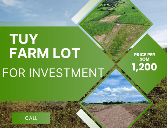 SMALL FARM LOTS AVAILABLE IN TUY BATANGAS