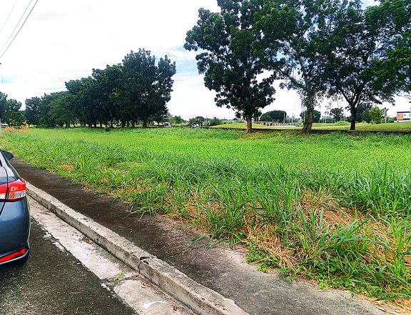 Beverly Place Fairway Lot 511 sqm Residential Lot For Sale in Mexico Pampanga