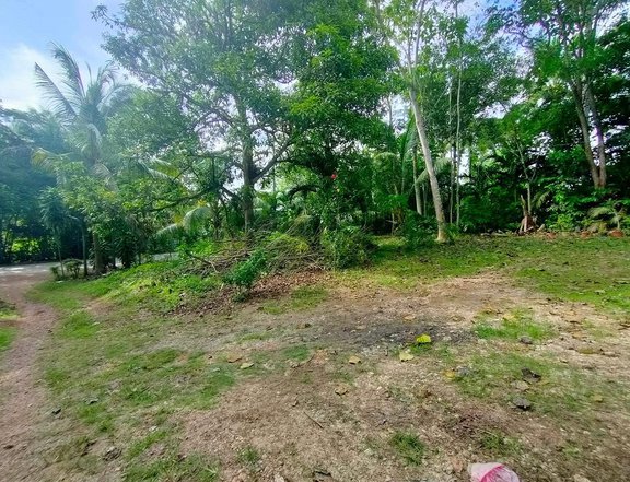 791 sqm Titled Lot in City of Samal, Davao Del Norte, at P6.350M