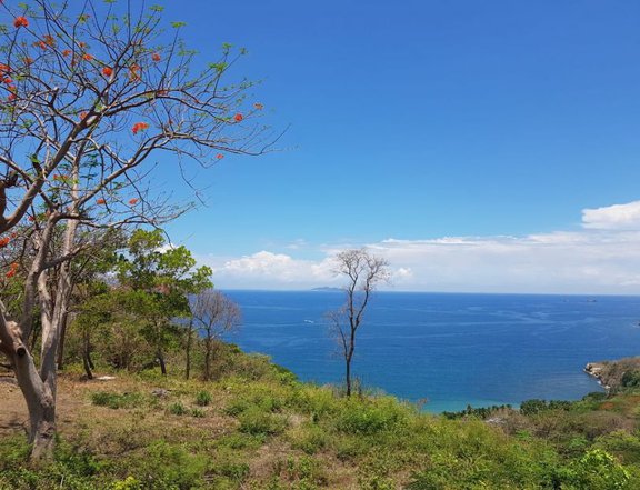 Pre-Owned 515 sqm Beach Property For Sale in Nasugbu, Batangas