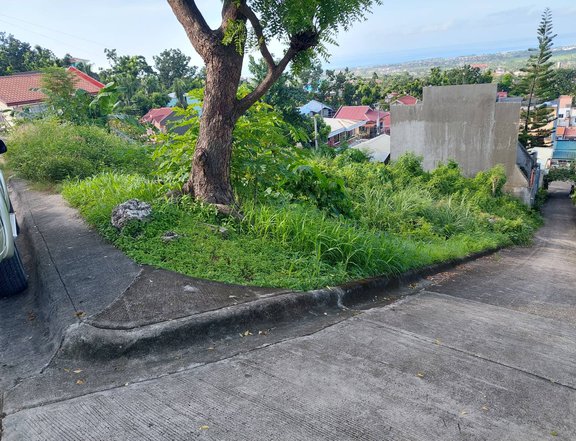 143 sgm  Residential  Lot  Overlooking in Talisay, Cebu City