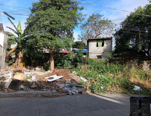 229 sqm Residential Lot For Sale By Owner in Novaliches Quezon City