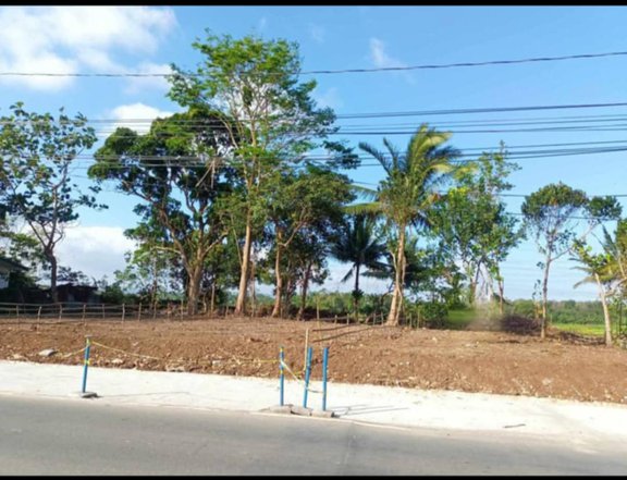 474 SQM ROADSIDE LOT FOR SALE IN TAYABAS QUEZON