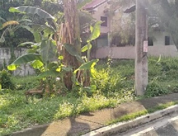 142sqm Residential lot for Sale in Royale Estates Las Pinas City