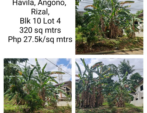 320 sqm Residential Lot For Sale in Angono Rizal