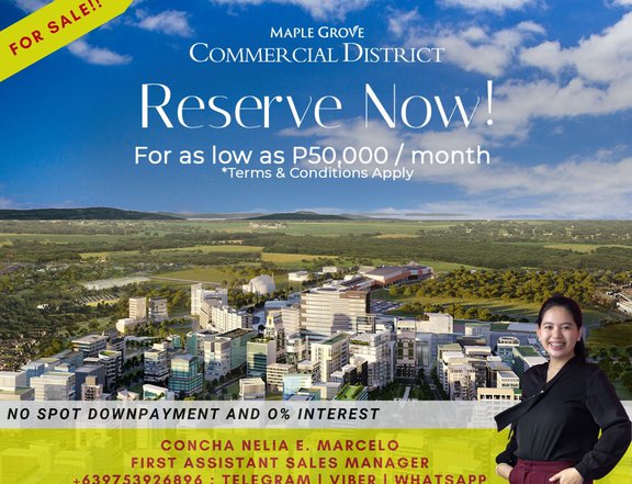 Maple Grove Commercial Lot will be the next Makati CBD in South