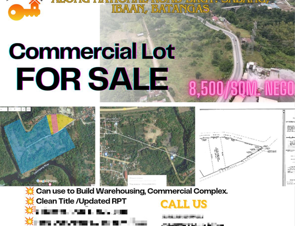 17,572sqm Commercial Lot Along National And Barangay Road of Sabang ,Ibaan Batangas