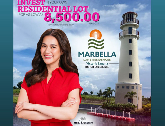 Residential and Commercial Lots  FOR SALE  in Victoria Laguna