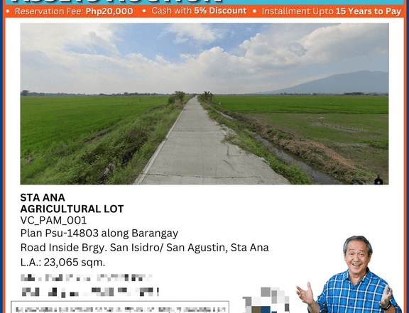 2.31 hectares Agricultural Lot For Sale in Santa Ana, Pampanga