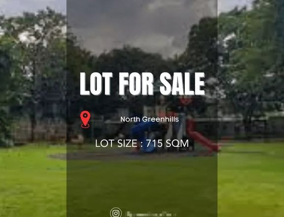 Rare 715SQM Residential Lot for Sale in North Greenhills, San Juan Prime Location