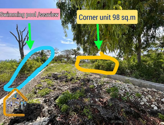 98 sqm Beach Lot - Corner lot For Sale In Alcoy Cebu
