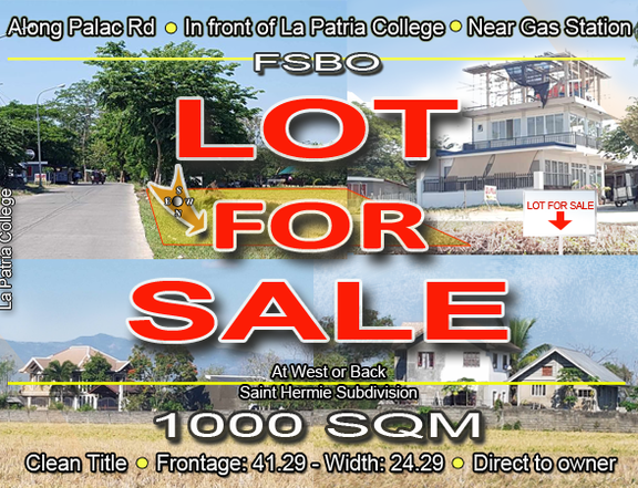 Lot For Sale in Santiago Isabela