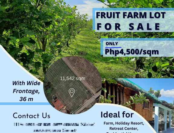 11,542 sqm Residential Fruit Farm Lot For Sale in Magalang, Pampanga