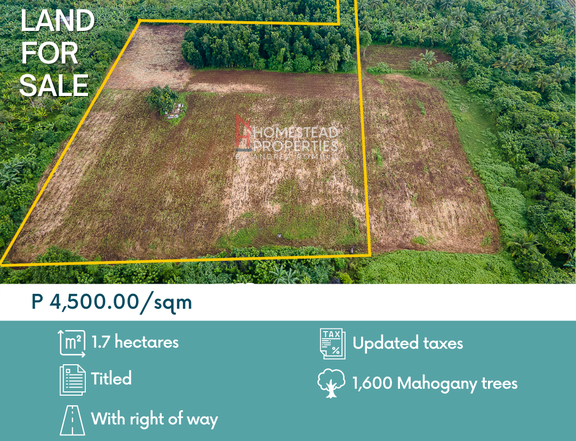 1.7 hectares Silang Along Main Road with Right of Way Land for Sale