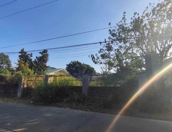 450 sqm Residential Lot For Sale in Villa Gloria Angeles Pampanga
