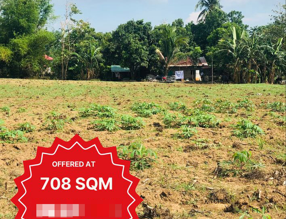 708 sqm Farm Lot For Sale in Tuy Batangas