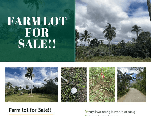 CASH/INSTALLMENT RESIDENTIAL FARM LOT