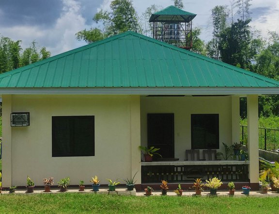 2,830 sq.m Residential Farm for Sale in Zamboanguita Negros Oriental