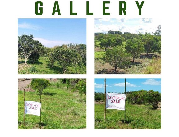 100 sqm Residential Farm For Sale in Padre Garcia Batangas