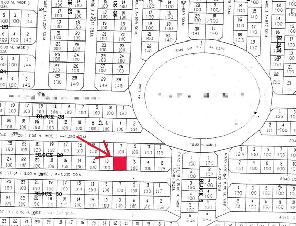 Daang Hari Lot for Sale, 100m2, Molino 4, Cuevasville Subd., Adjacent to Villar City