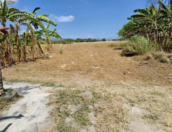 1.5 - 1.7 hectares Commercial Lot For Sale in Jalajala Rizal