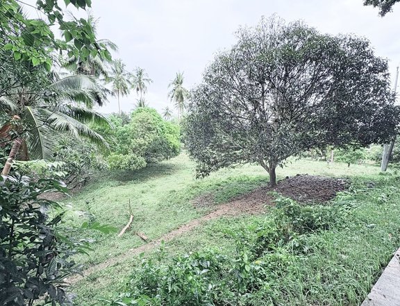 Titled 1.7 Hectares Farmlot in Argao