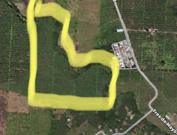 5 Hectares agricultural farm for sale brgy. igpit digos city