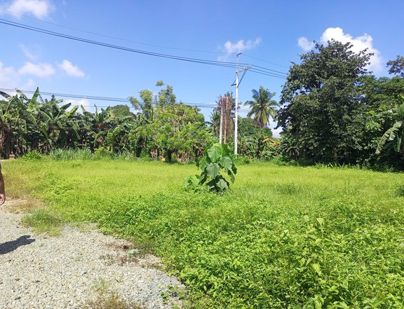 AFFORDABLE LOT IN INDANG CAVITE