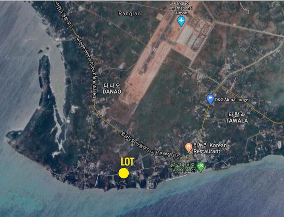 867 sqm Commercial Lot For Sale in Panglao Bohol