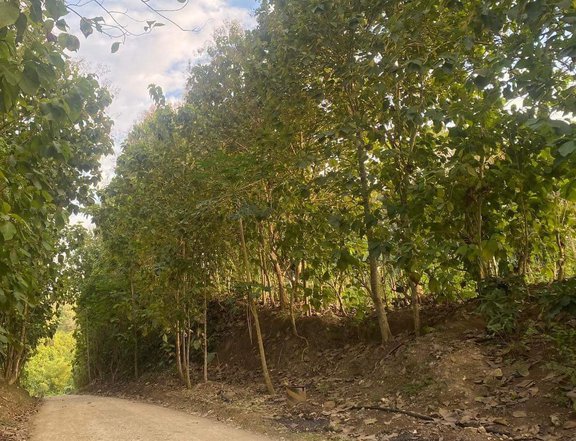 8M 3,000 sqm Land For Sale in Taguanao Cagayan de Oro Mis Or