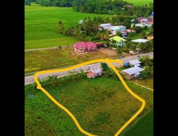 3,500 sqm Commercial Lot for Sale in Pagadian Zamboanga del Sur