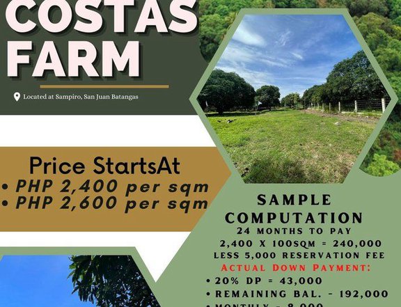 Affordable Residenttial Farm Lot for Sale at Brgy Sampiro Batangas