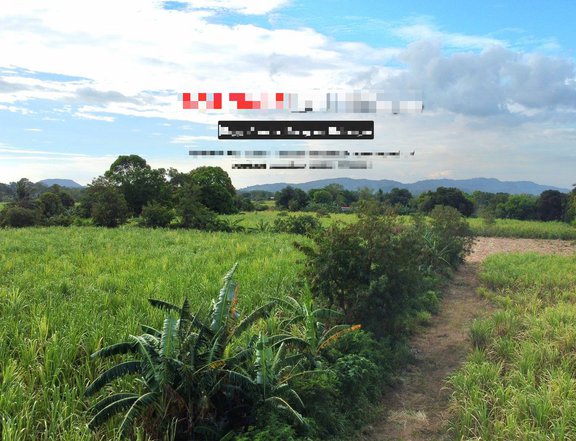 21 hectares Land For Sale in Balayan Batangas CLEAN TITLE Negotiable