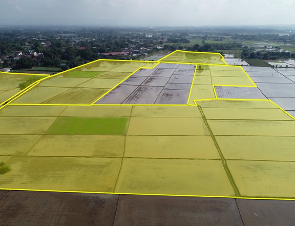 Agricultural lot in Bustos, Bulacan for sale