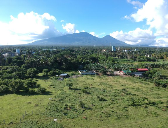 2.17 hectares Agro-Industrial Farm For Sale in Tayabas Quezon
