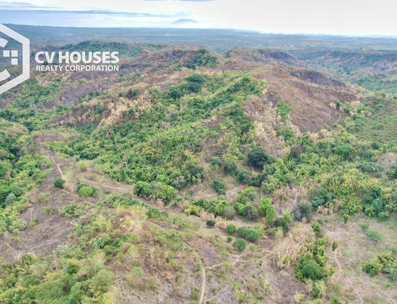 FOREST LAND FOR SALE LOCATED AT FLORIDABLANCA, NEAR ZAMBALES