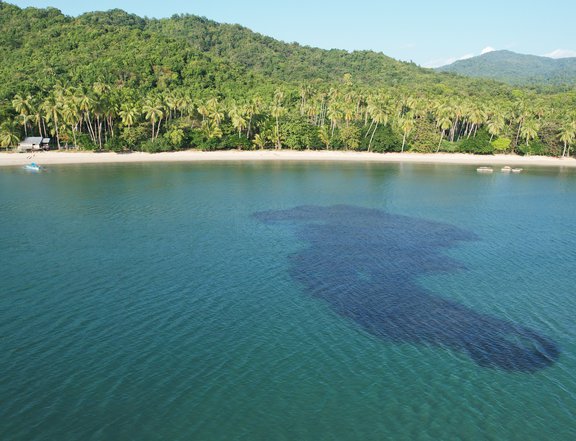 Beach front Property in Lio El Nido, Palawan