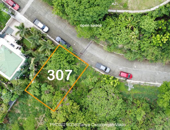 Overlooking Lot | Phase 2 Sun Valley Estates Antipolo